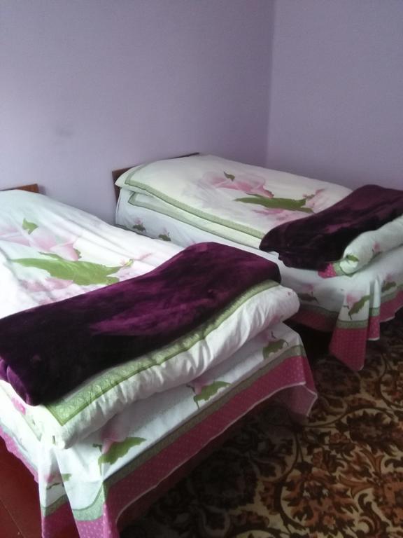 Maia'S Guest House Gergeti カズベギ 部屋 写真